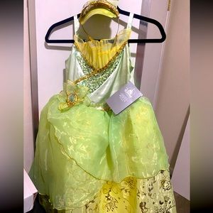 Princess and the Frog Tiana Disney Princess Dress Costume